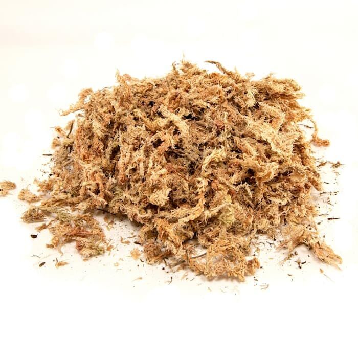Zoo Med Sphagnum moss 150gr