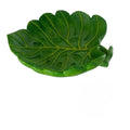 Terrarium bowl size 15x13,5x3,5cm