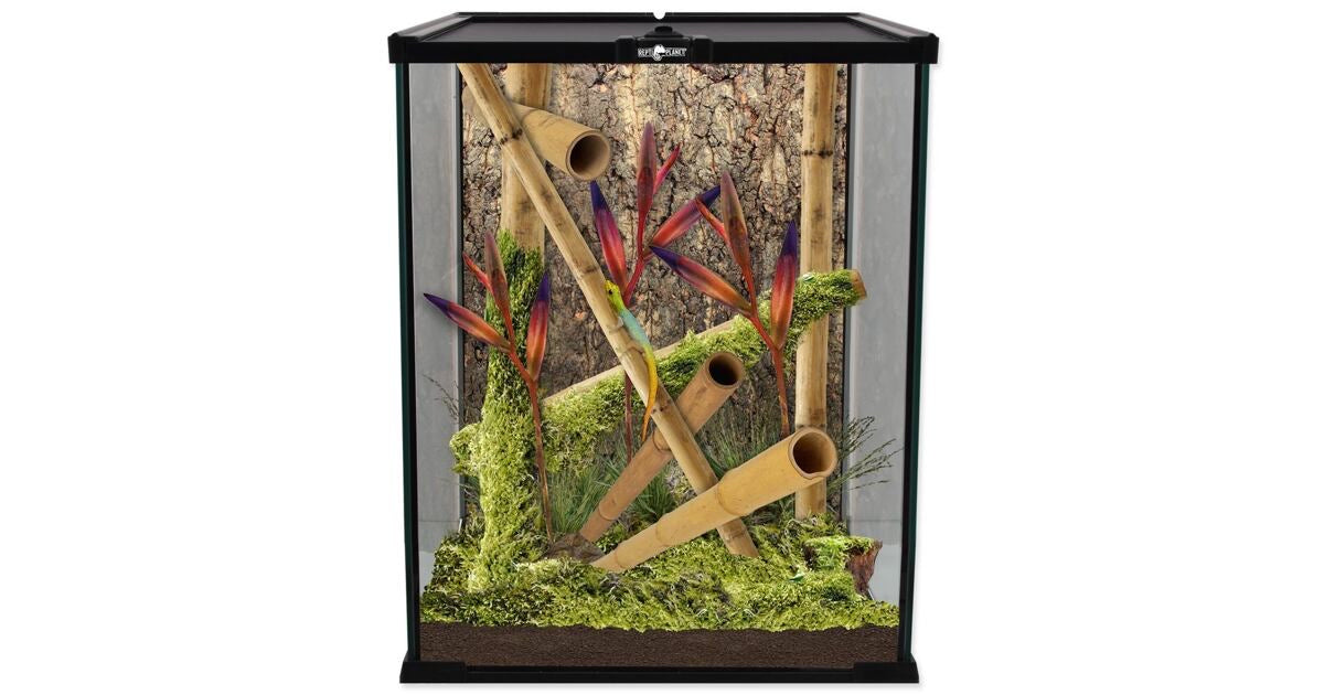 REPTI PLANET GLASS TERRARIUM 20 x 20 x 30cm