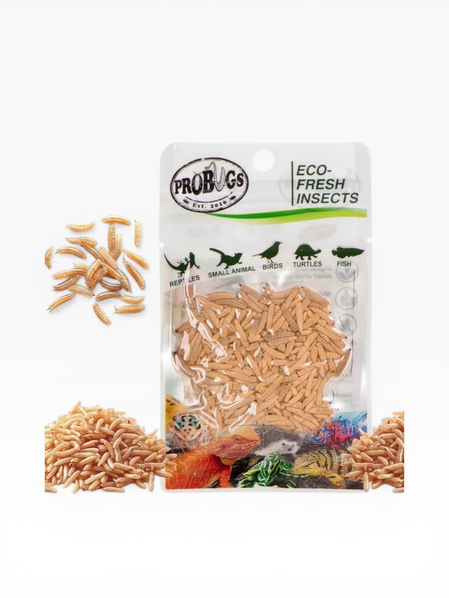 ProBugs Eco ларви на мухи 15гр