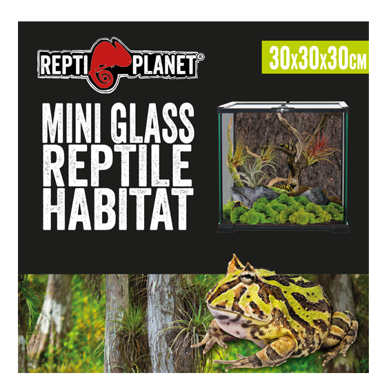 Repti Planet Mini Glass 30x30x30cm