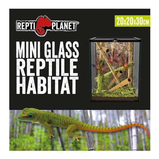 REPTI PLANET GLASS TERRARIUM 20 x 20 x 30cm