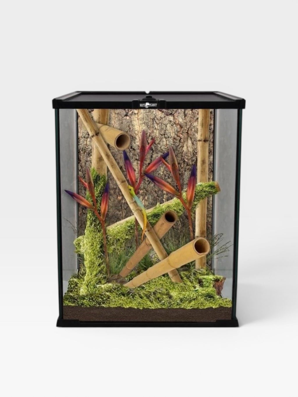 REPTI PLANET GLASS TERRARIUM 20 x 20 x 30cm
